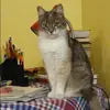 Отзыв от Лилия Олейникова